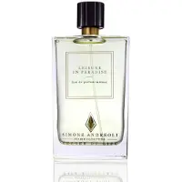 Simone Andreoli Leisure In Paradise Eau De Parfum Intense - 100 Ml