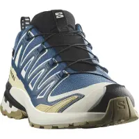 Salomon Chaussures Xa Pro 3d V9 L47817400