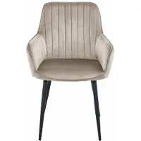 Leobert Chaise SOLDEN - velours beige foncé / pieds noirs x 2