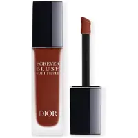 Dior Forever Blush Soft Filter 08
