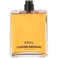 Costume national SCENTS Soul, parfum unisexe, 100 ml, notes de bergamote, cardamome, poivre rose, géranium, cuir, oud, ambre, patchouli, vanille, vaporisateur