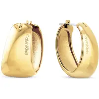 Calvin Klein 35000832 Earrings Doré Femme