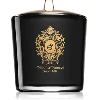 Tiziana Terenzi Bougie parfumée Ecstasy avec mèche en bois avec mèche en bois 500 g