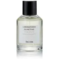 Laboratorio Olfattivo Saline - 100 ml