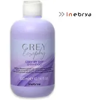 Inebrya Shampoing Gris de Jour - 300 ml