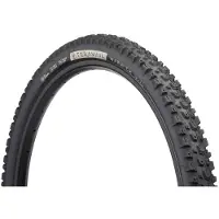 Teravail Warwick Durable Tubeless 29'' X 2.3 Mtb tyre Silver 29'' x 2.3 Silver 29'' x 2.3