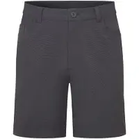 Montane Genoa Lite Shorts, homme, gris