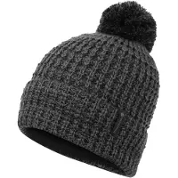 Montane Nev Beanie Gris