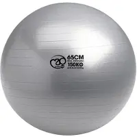 Fitness-Mad Ballon suisse anti-éclatement 150 kg - 75 cm - Graphite