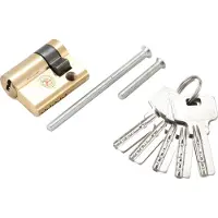 Bgs Diy 85818 | Cylindre de fermeture pour porte de garage | 40 mm