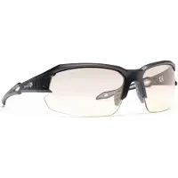 Demon Tiger Sun, lunettes de soleil avec champ de lecture, noir/gris