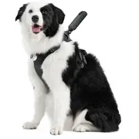 Insta360 Support de harnais pour animaux de compagnie Taille L