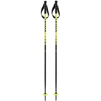 Völkl Speedstick Junior Poles Argenté 110 cm Garçons,Filles