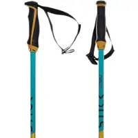 Völkl Phantastick Junior Poles Bleu 70 cm Enfants