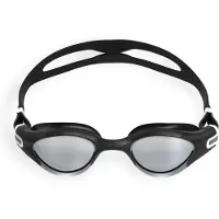 Arena Lunettes 'THE ONE PLUS MIRROR' gris / noir