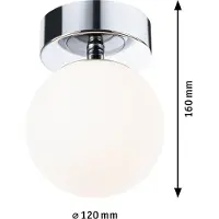 Paulmann Selection Bathroom LED Plafonnier Gove