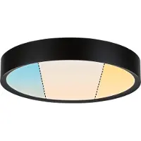 Paulmann Plafonnier , Tega, Noir, Salle de bains, Plastique, Moderne