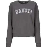 ONLY Sweatshirts ONLJOLANA femmes - Gris - EU L