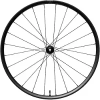 Shimano Rx180 Disc Tubeless Front Wheel Argenté 12 x 100 mm