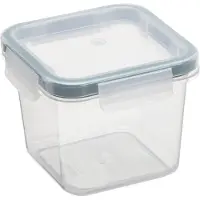 PLAST TEAM Vertriebs GmbH plast team 52560800 plast team Boîte fraîcheur Amsterdam, 5,2 litres, vert