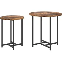 vidaXL Ensemble de tables d'appoint 2 pcs Chêne fumé et noir