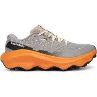 Salomon Ultra Flow 2 Goretex Trail Running Shoes Gris EU 42 Homme