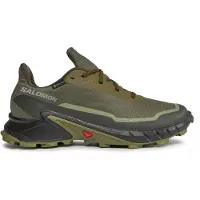 Salomon Alphacross 5 Gore-tex Trail Running Shoes Vert EU 45 1/3 Homme