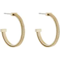 BOSS 1580483 Earrings Doré Femme
