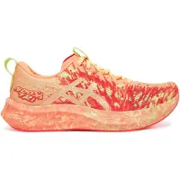 Asics Chaussures Noosa Tri 16 1011B872800