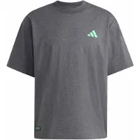 Adidas T-Shirt fonctionnel 'Mercedes - AMG Petronas Formula One Team' graphite / vert fluo