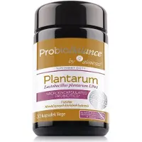 Aliness ProbioBalance, Lactobacillus plantarum LP01 10 bn. x 30 gélules végétales.