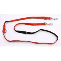 Brekz Laisse 3 points en nylon 20mm x 200cm