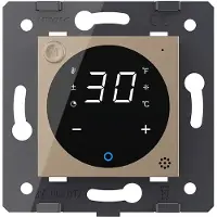 Livolo | Or | SR | Module | Thermostat pour dispositif 230 V - View