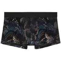Hom Boxer court
