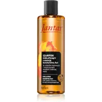 CARUNO Farmona Jantar shampooing chélateur à l'extrait d'ambre 5in1 pour cheveux ternes et abîmés, 300 ml