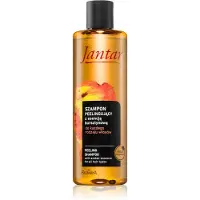 Farmona Jantar Shampooing et soin exfoliant pour le cuir chevelu 300 ml