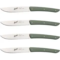 Berkel Knives Set Argenté