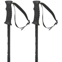 Head Supershape Team Junior Poles Gris 80 cm Garçon