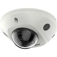 Hikvision Ip Ds-2cd2543g2-iws Pl Security Camera Argenté