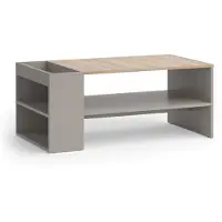 Vicco Table basse Wido Grège 100x55cm avec des étagères, Model 56616