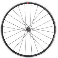 Massi Volta Qr Road Rear Wheel Argenté 12 x 142 mm / Shimano/Sram HG