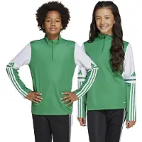 Adidas Sweat de sport 'Squadra 25' vert / blanc