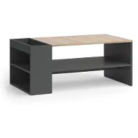 Vicco Table basse Wido Anthracite/Sonoma 100x55cm avec des étagères, Model 56262