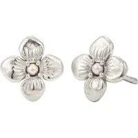 Elli Boucles d'oreilles argent
