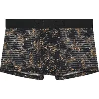 Hom Boxer court