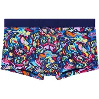 Hom Boxer court