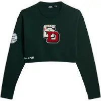 Superdry Pull-over beige / vert / rouge