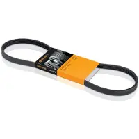 CONTITECH Courroie de distribution CONTINENTAL CT970