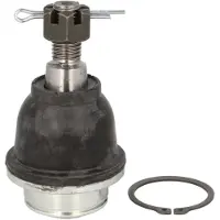 Delphi Support-/ joint