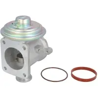 Delphi Vanne EGR EG10433-12B1